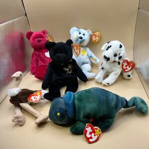 Lot of 6 Beanie Babies Rainbow Iguana Valentina Cheery The End Rescue Stretchy